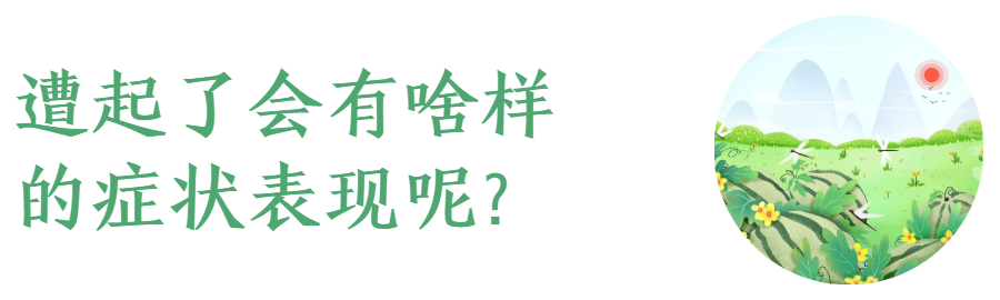 “热死了”真的有可能会热死!不信,你点进来看哇
