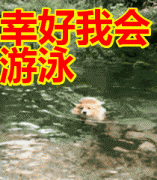 汽车坠湖后如何自救？