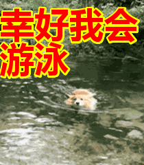 汽车坠湖后如何自救?