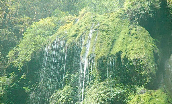 夏至梅雨,等待入伏