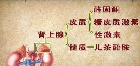 四川省泌尿外科医院