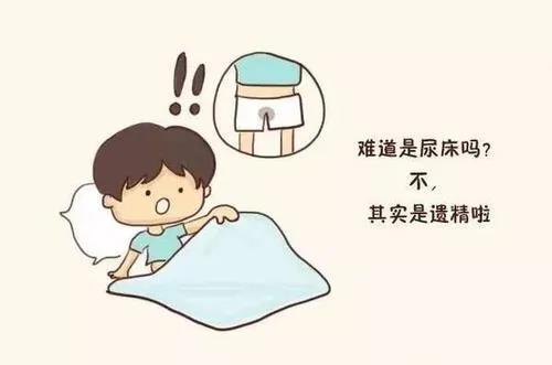 男娃娃青春期的“小秘密”，一次性打包给你们