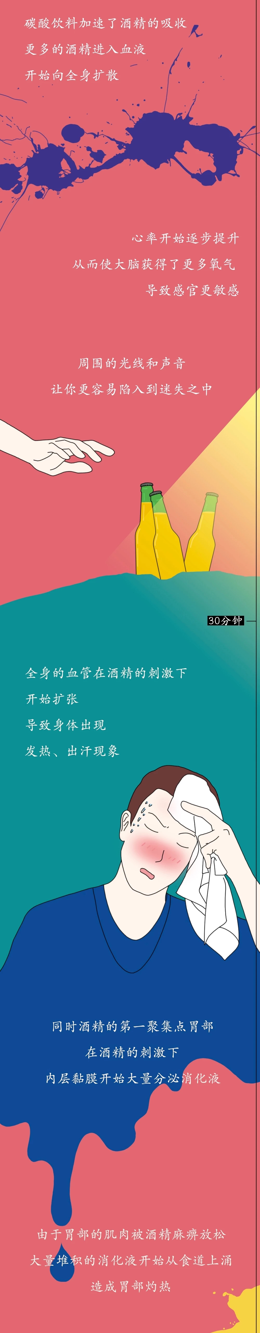 一图看懂酒精进入体内的24小时