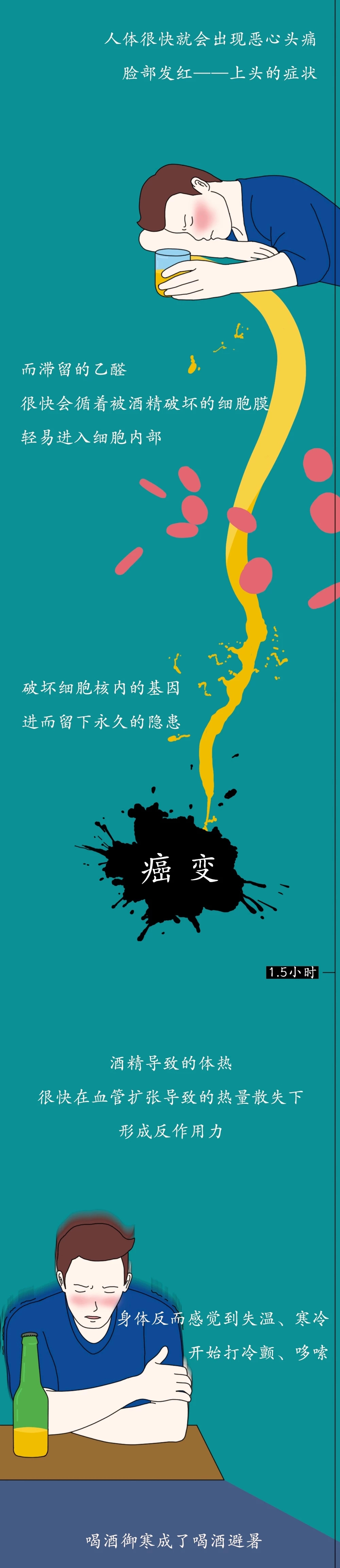 一图看懂酒精进入体内的24小时