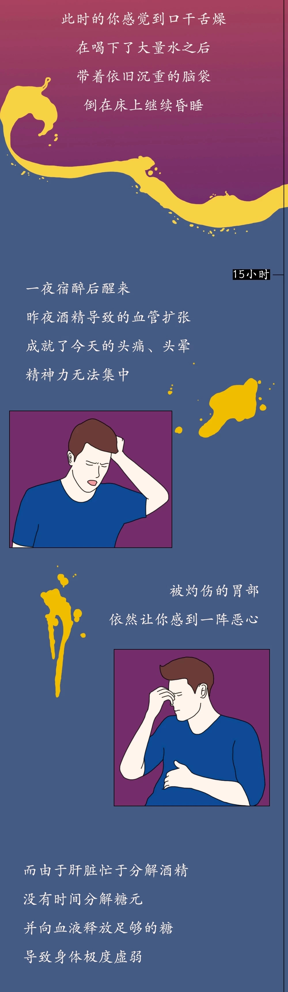 一图看懂酒精进入体内的24小时