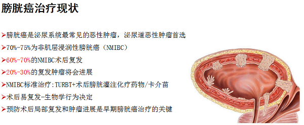 拓展探索创新-我们一直在提升