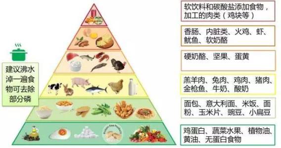 血透患者要“会吃”，磷的控制才到位