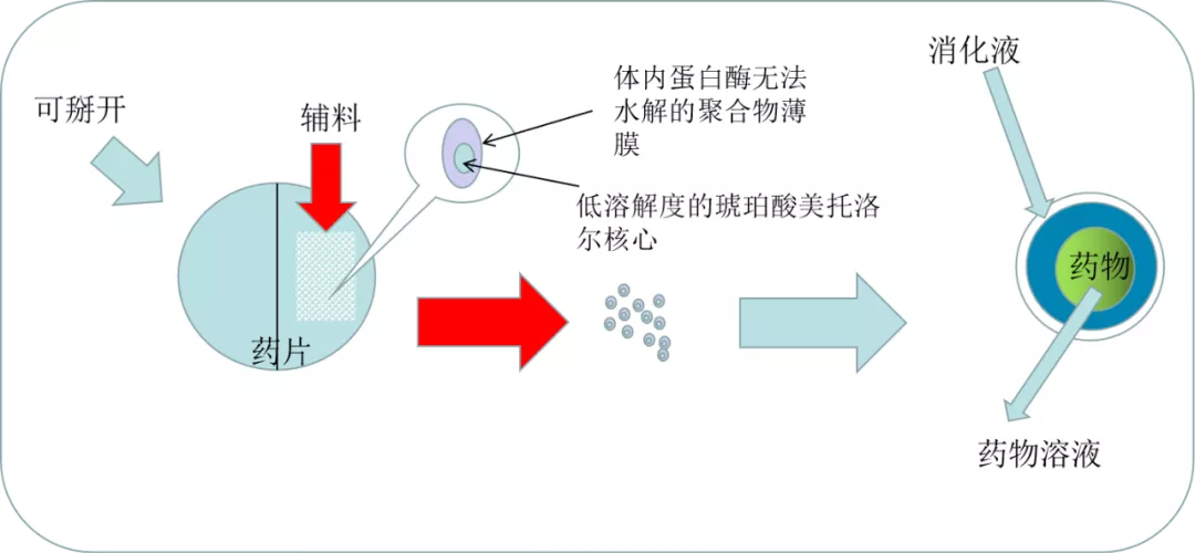 酒石酸美托洛尔与琥珀酸美托洛尔