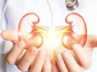 关于肾功能的检测指标，你知道多少？