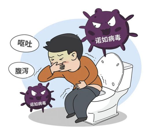 甲流、诺如纷纷来袭，怎么办？！