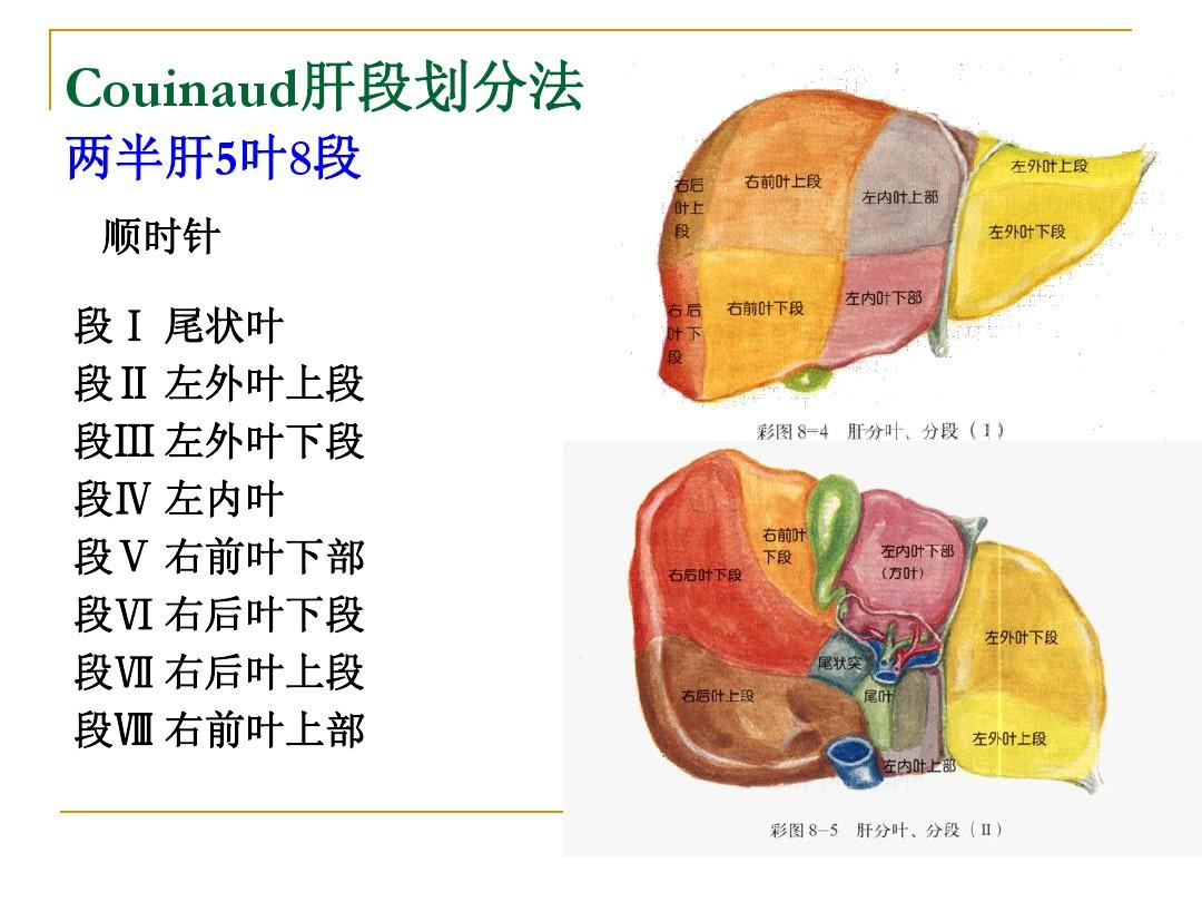 复合式冷热消融技术如何运用于肝肿瘤