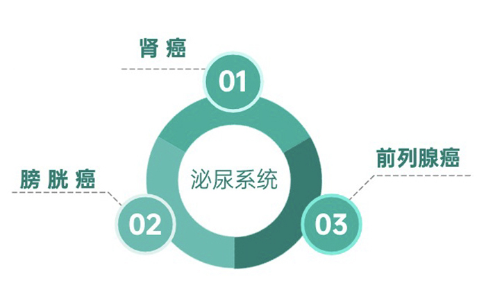 肿瘤防治宣传周丨泌尿系统肿瘤核心知识