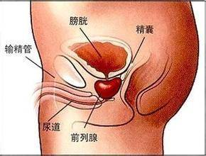 生殖系统感染爱“潜伏”，从源头守护健康