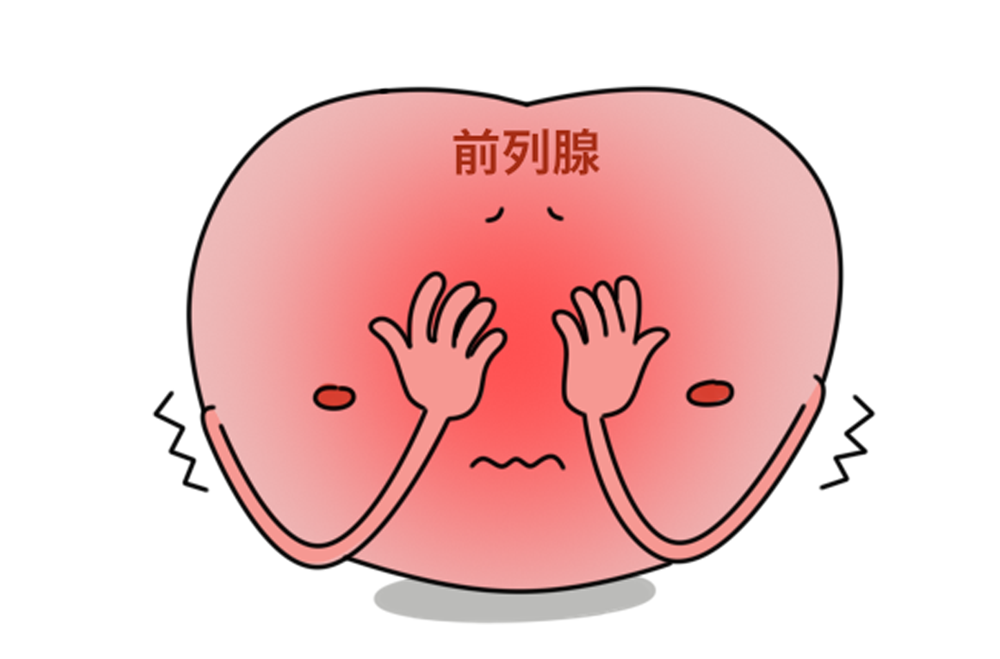 泌尿外科到底看什么病？——揭秘