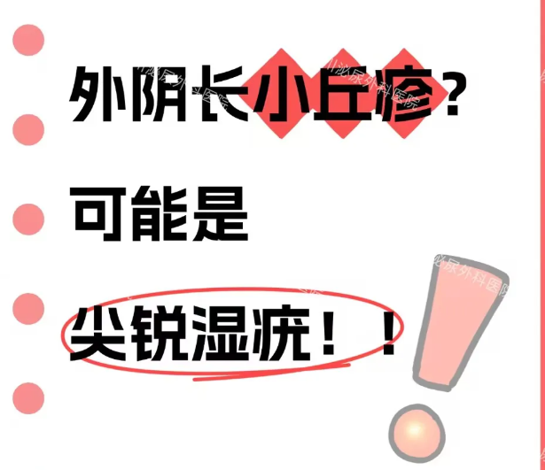 外阴长小丘疹？可能是尖锐湿疣