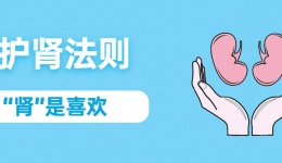 保护肾脏 远离肾病，记住这几大法则