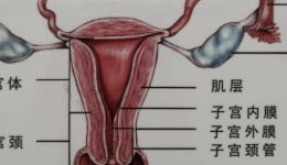 女人三十，月经量越来越少，怎样让量恢复正常？