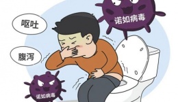 甲流、诺如纷纷来袭，怎么办？！