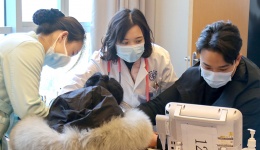 川泌血管通路筛查 为肾病患者点亮“生命之光”