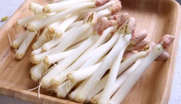 这些食物发芽后 不仅没毒而且营养翻倍