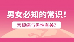 宫颈癌与男性有关？男女必知的常识！