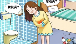 “难言之隐”不必隐忍：关注女性泌尿健康，远离疾病困扰