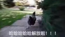 恭喜你！奋战12年，终于解放了！