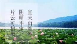 三伏时节，需要注意些什么
