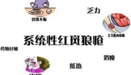 狼疮性肾炎治疗注意事项3点