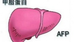 AFP与CEA的一二事
