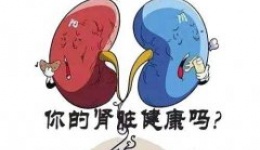 沉默杀手-慢性肾炎