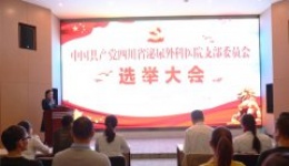 中国共产党四川泌尿外科医院支部委员会选举大会隆重举行